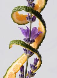 Duke & D’or Perfumes: citrus lavender