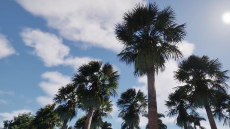 Garden Walkthrough: palms up